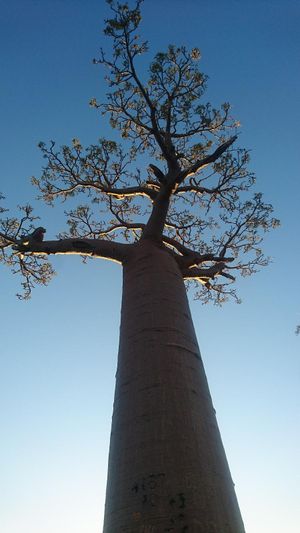 rencontres hot madagascar