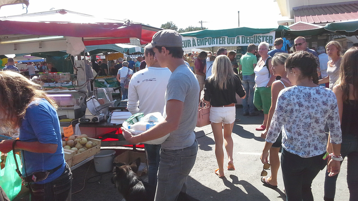 Vacances A Montalivet Gironde Notos
